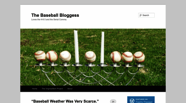 thebaseballbloggess.com