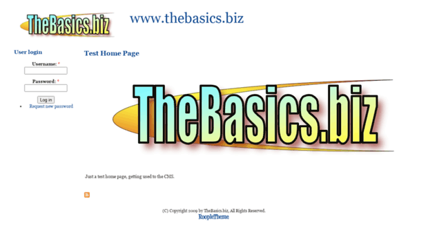 thebasics.biz