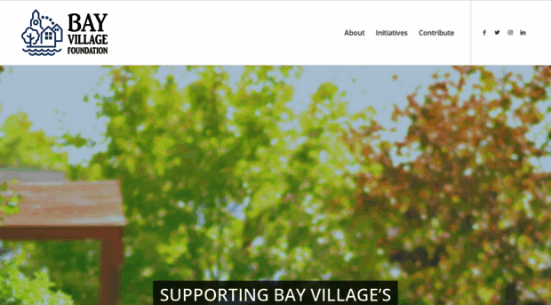 thebayvillagefoundation.org