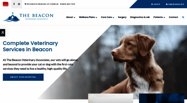 thebeaconvet.com