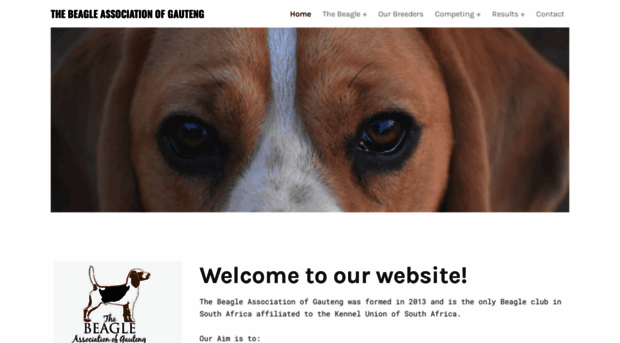 thebeagleassociation.co.za