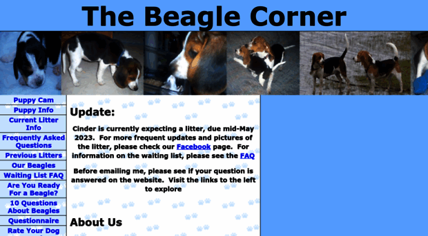 thebeaglecorner.com