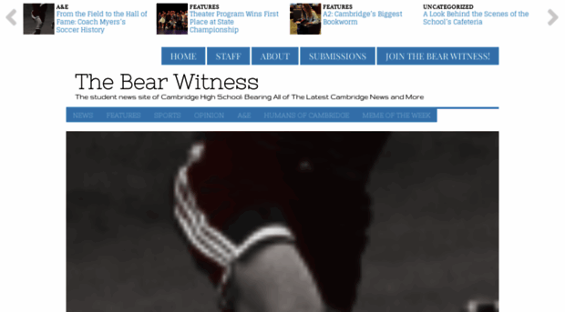thebearwitness.com