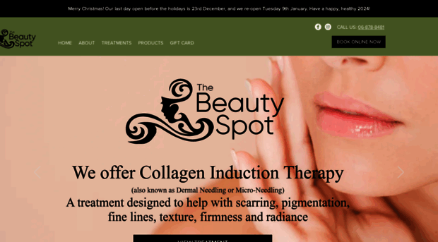 thebeautyspot.co.nz