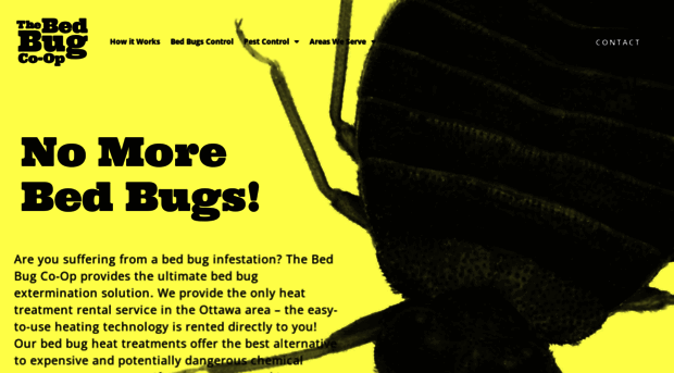 thebedbugcoop.com