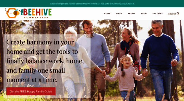 thebeehiveconnection.com