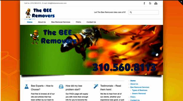 thebeeremovers.com