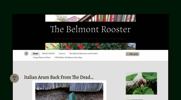 thebelmontrooster.com