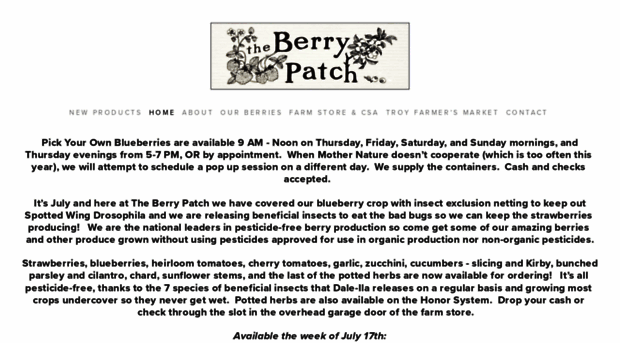 theberrypatch.net