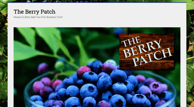 theberrypatchonline.com