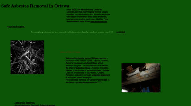 thebestinottawa.ca