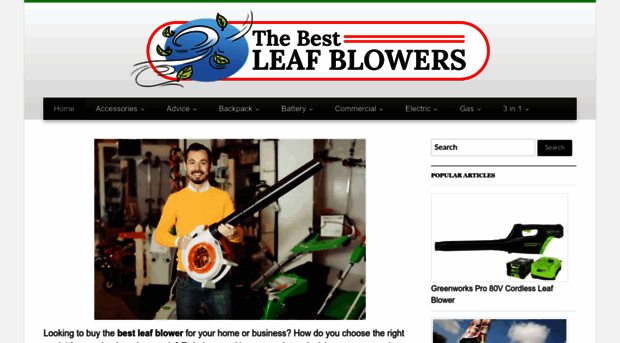 thebestleafblowers.com