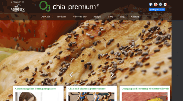 thebestofchia.com