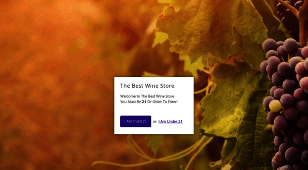 thebestwinestore.com