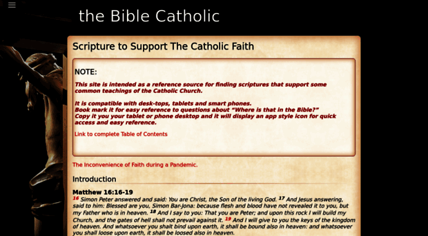 thebiblecatholic.com