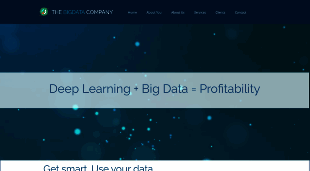 thebigdatacompany.us