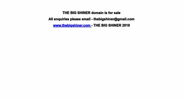 thebigshiner.com