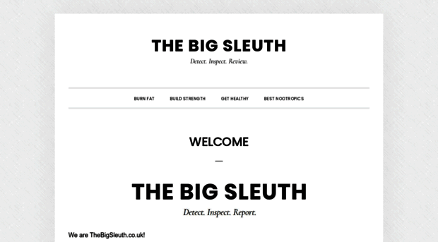 thebigsleuth.co.uk