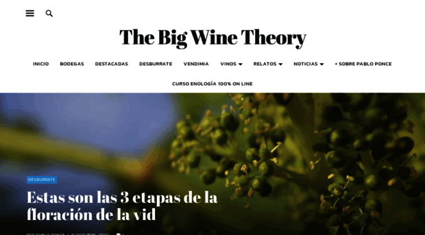 thebigwinetheory.com