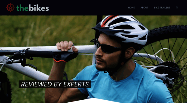 thebikes.net