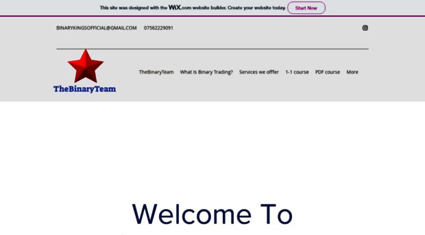 thebinaryteam.com