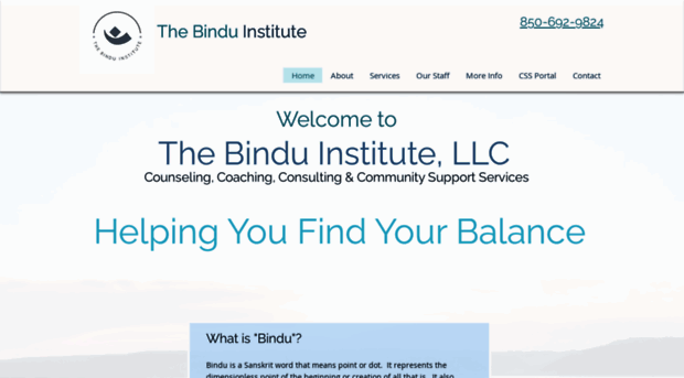 thebinduinstitute.com