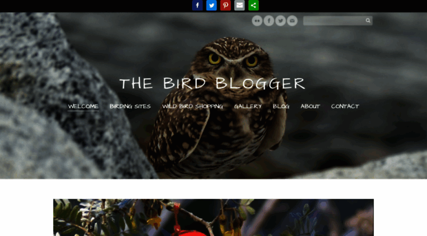 thebirdblogger.com