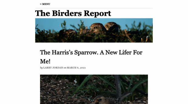 thebirdersreport.com