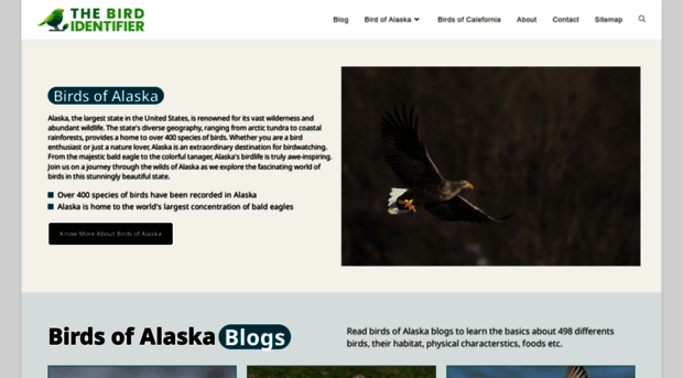 thebirdidentifier.com