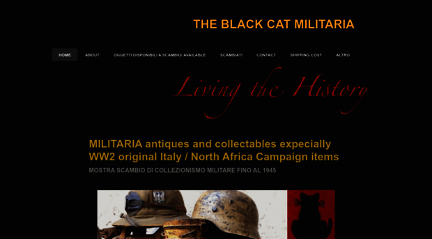 theblackcatmilitaria.com