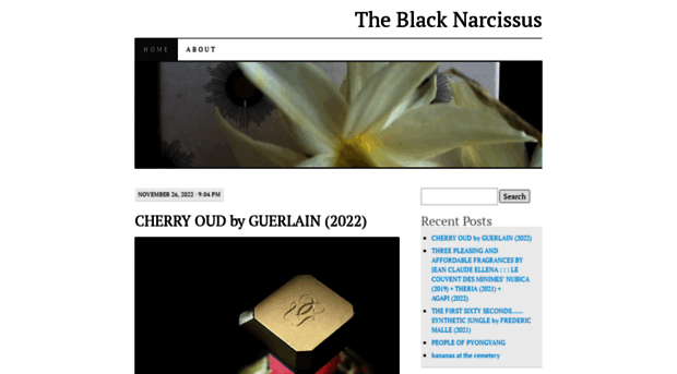 theblacknarcissus.com