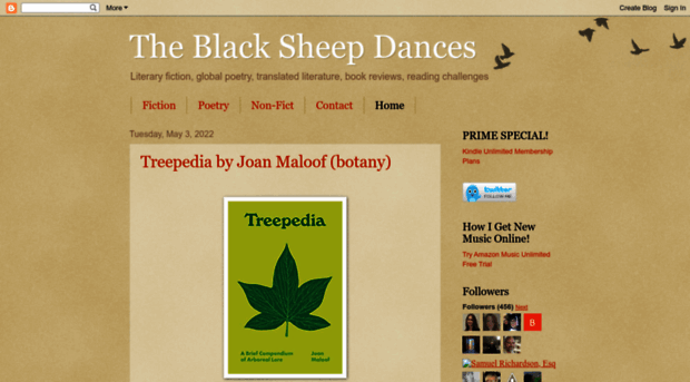 theblacksheepdances.com