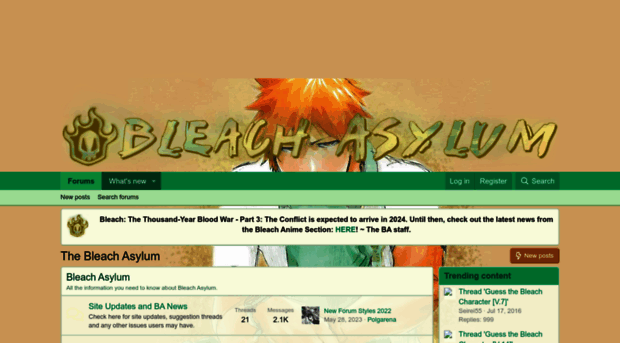 thebleachasylum.com