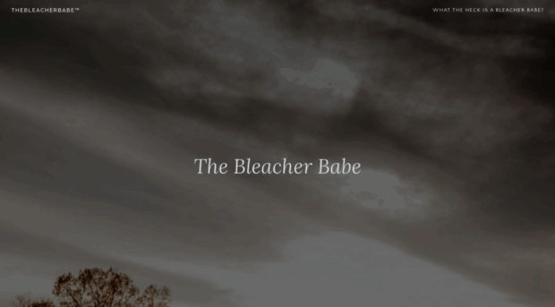 thebleacherbabe.wordpress.com