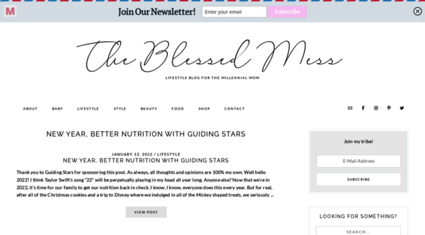 theblessedmessblog.com