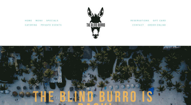 theblindburro.com