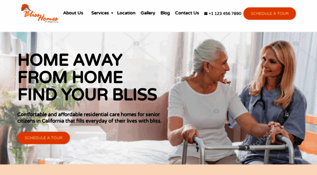 theblisshomes.com