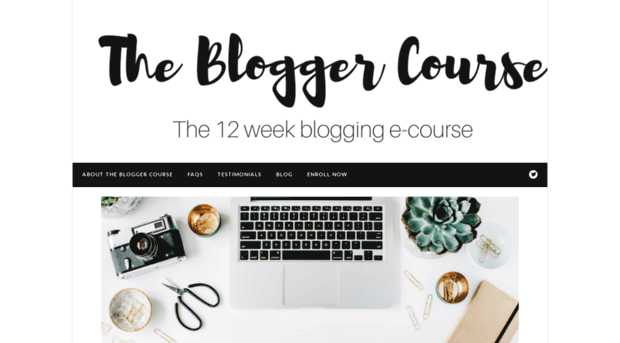 thebloggercourse.com