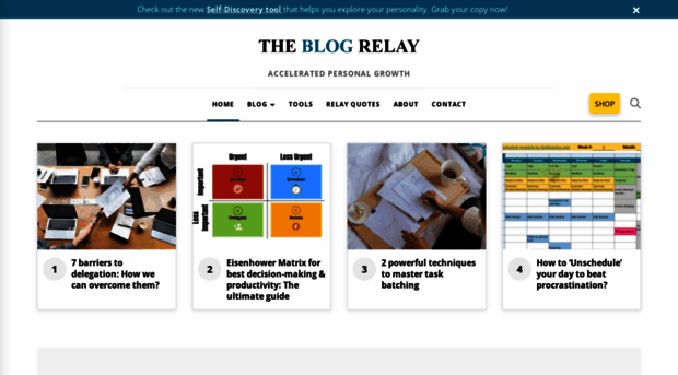 theblogrelay.com