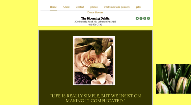 thebloomingdahlia.com