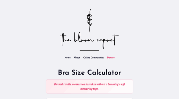 thebloomreport.net