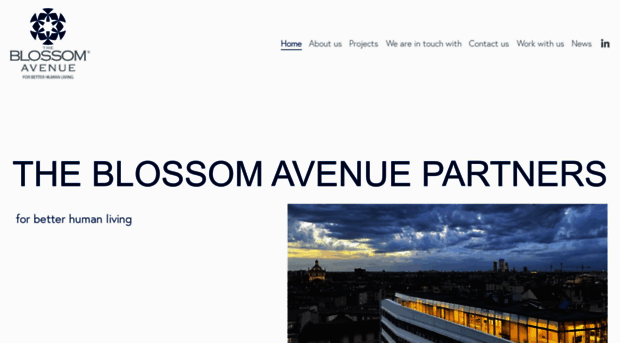 theblossomavenue.com