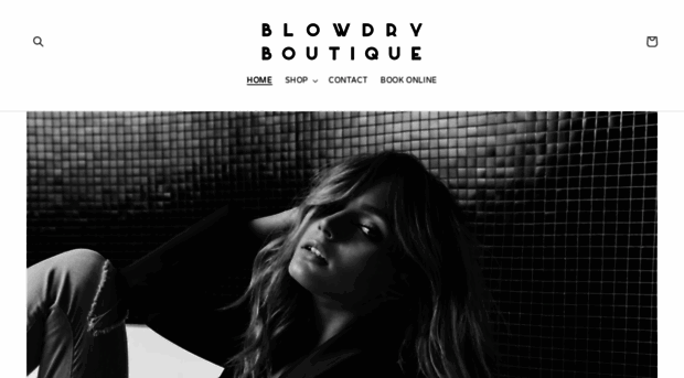 theblowdryboutique.com