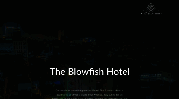 theblowfishhotel.com