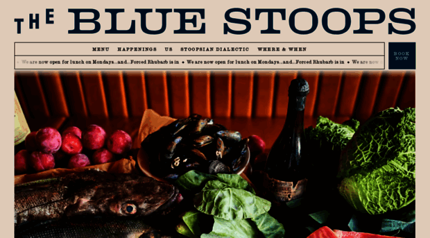 thebluestoops.com