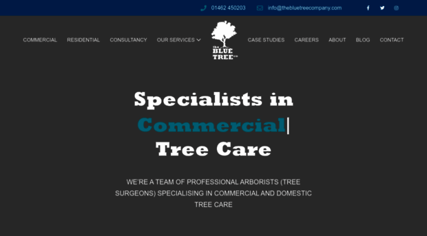 thebluetreecompany.com