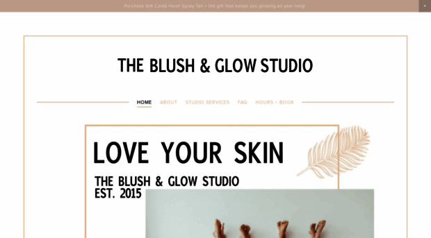 theblushandglowstudio.com