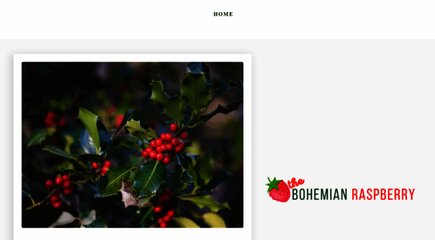 thebohemianraspberry.com