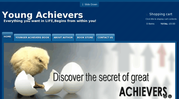 thebookonyoungachievers.com