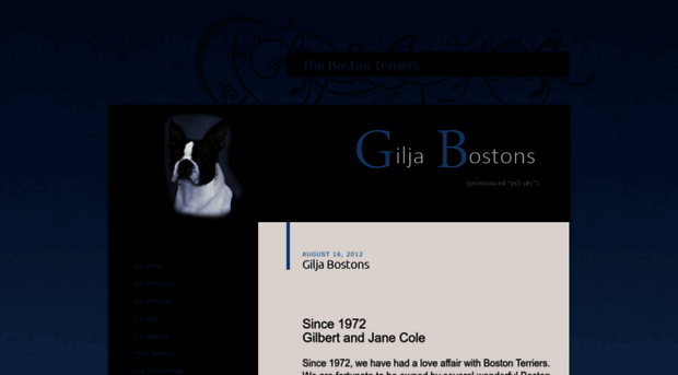 thebostonterriers.com